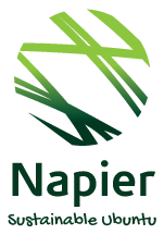 Napier Logo