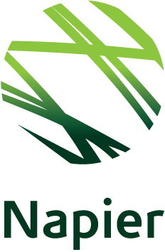 Napier Logo
